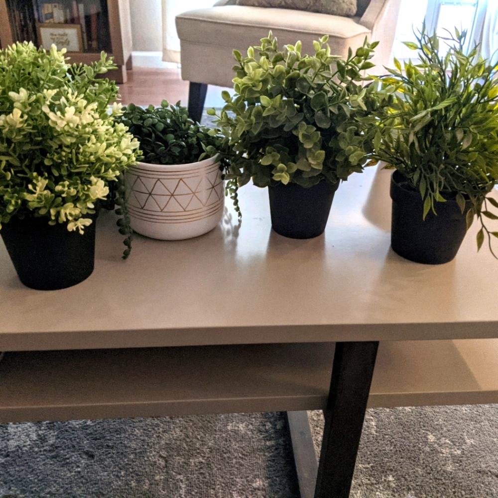 Sold - Artificial Plants